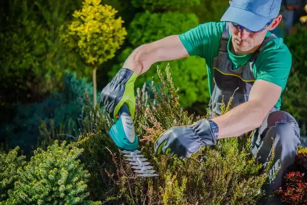 landscaping services Carmel Hamlet
